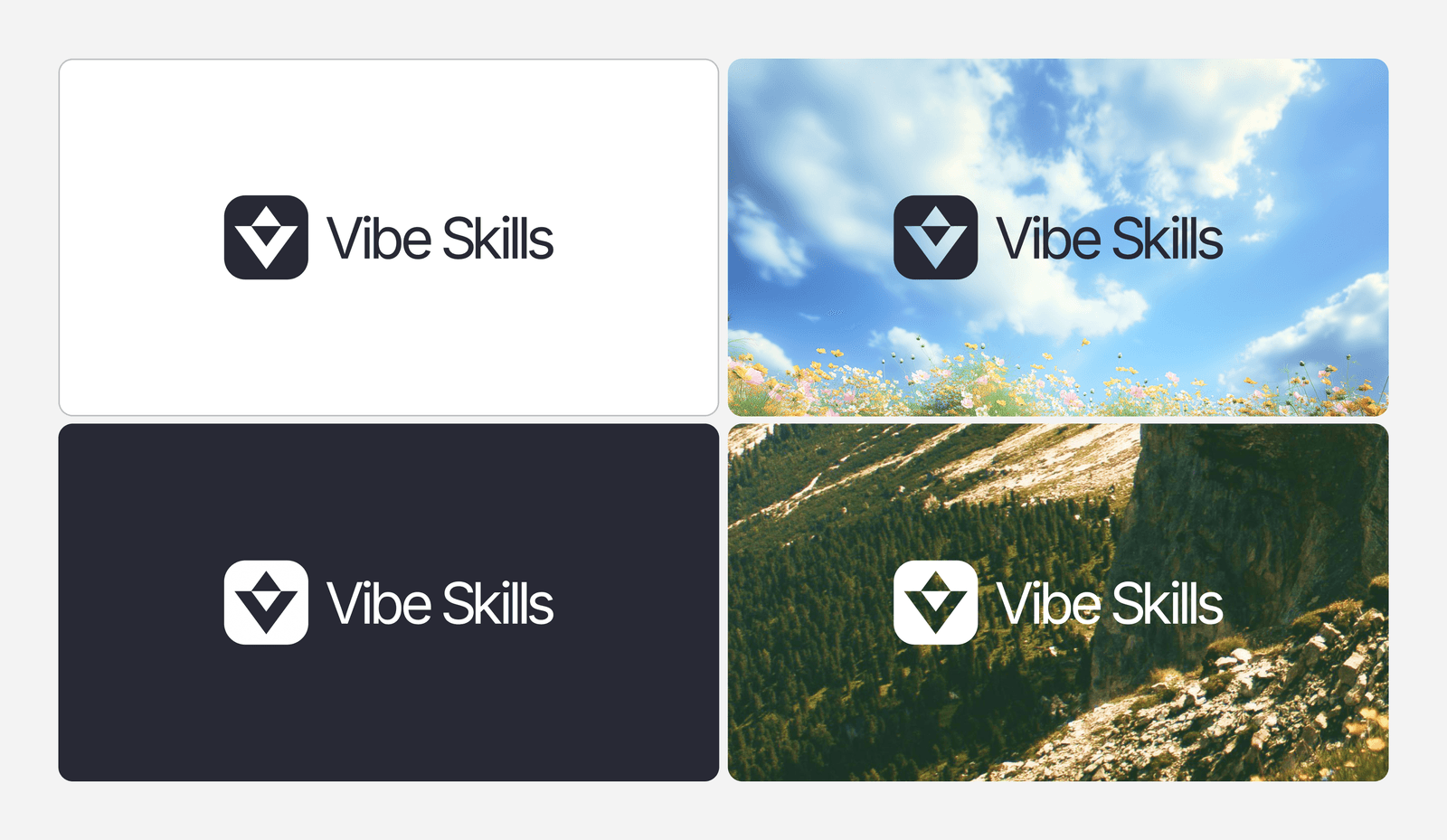 Vibe Skills — visual direction, image 3