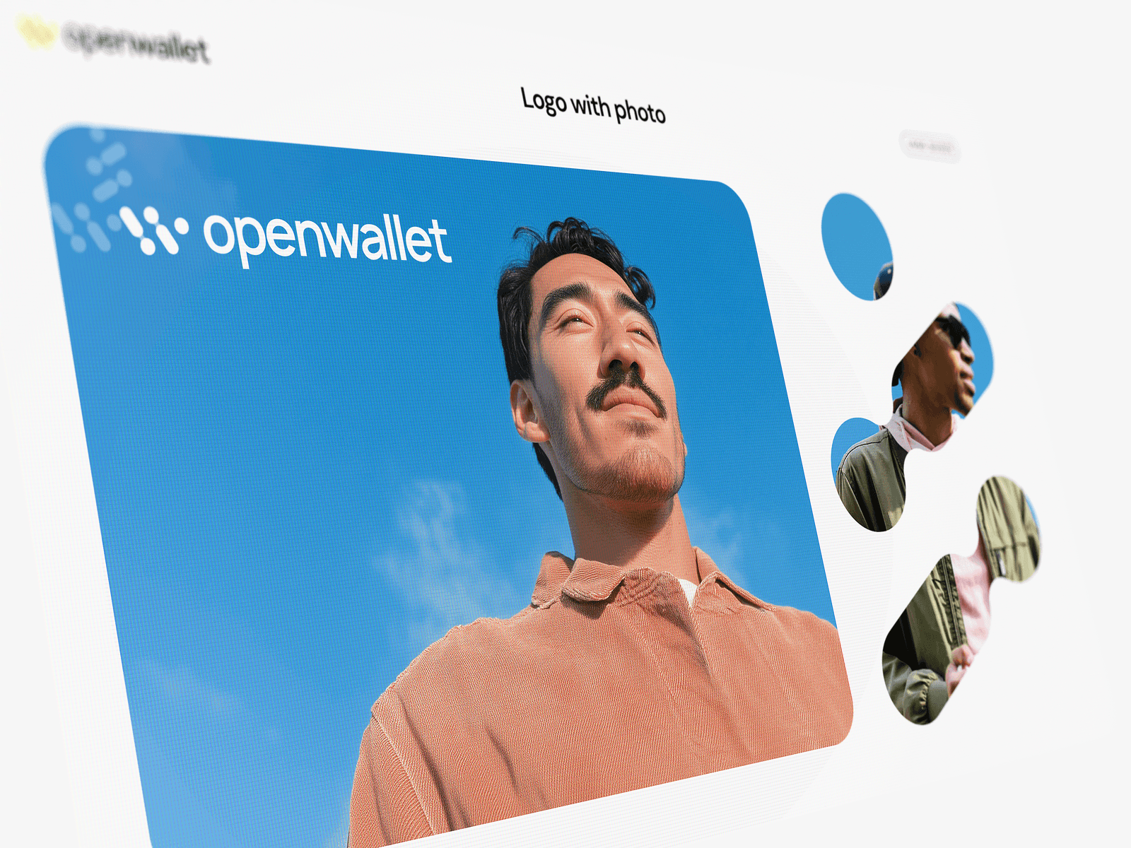 Open Wallet — outcome, image 2